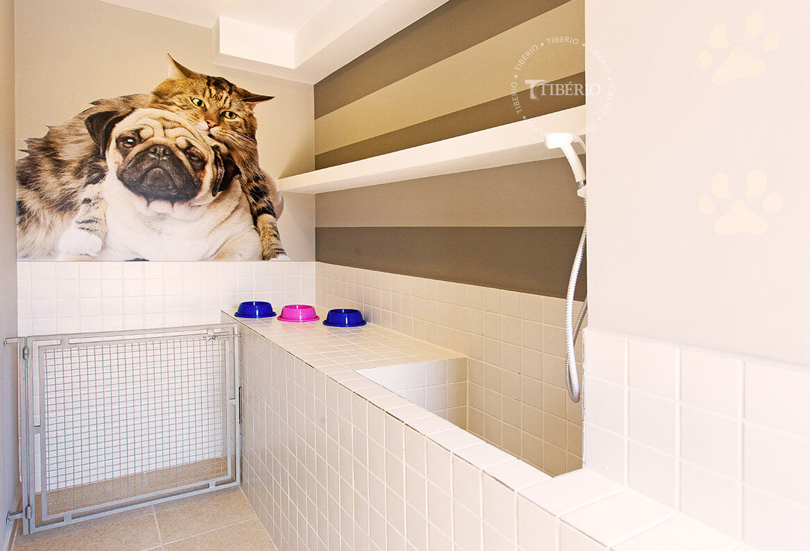 Apartamento de 50m² à Venda no Home Club Carrão – Unidade 16 Bloco 1